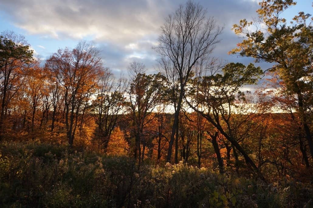 Best Places to Live in Woodinville, WA